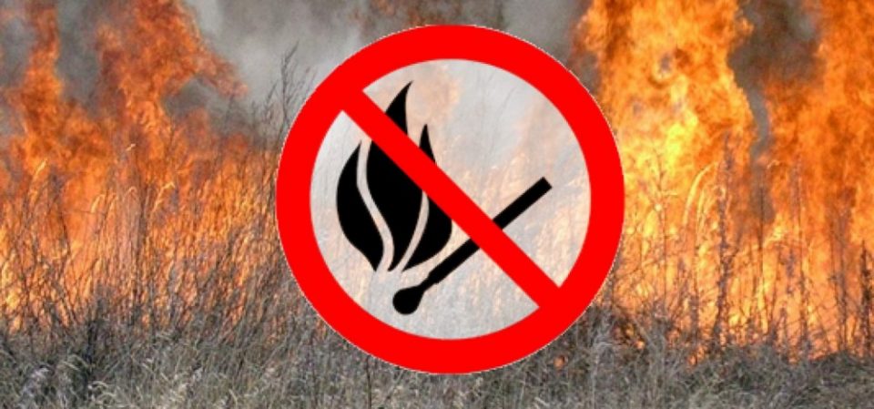 Чим шкідливе спалювання сухої трави? Яка шкода завдається спалюванням рослинних залишків людям і довкіллю? Якими нормами караються порушення?
