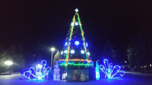 ялинка Кременець