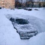 сніг