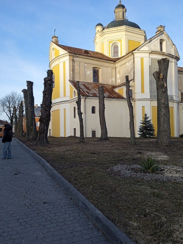 обрізали дерева Кременець