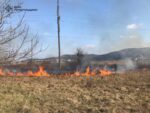 вогонь Підлісці