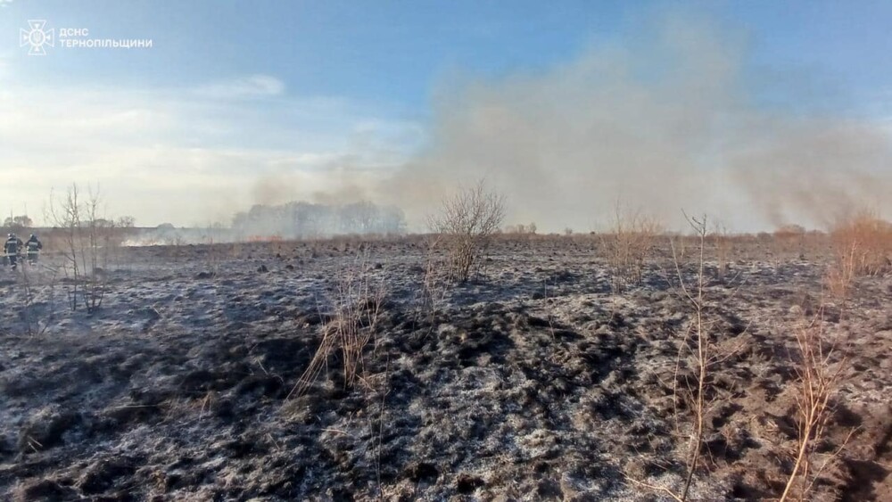 пожежа Білокриниця