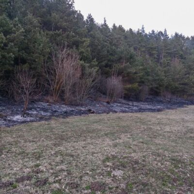 ледь не згорів ліс