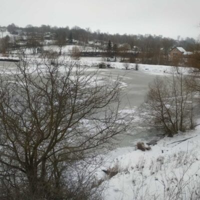 Ставок