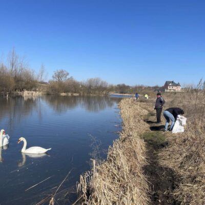 толока Підгороднє