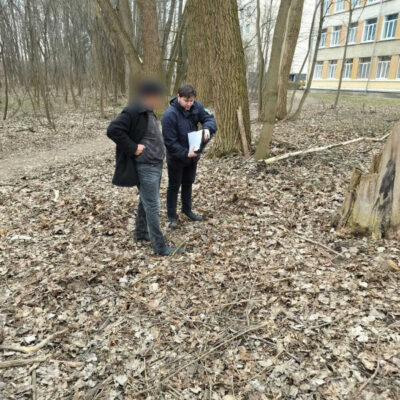 зрізали дерева