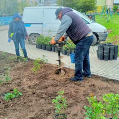 покрали квіти