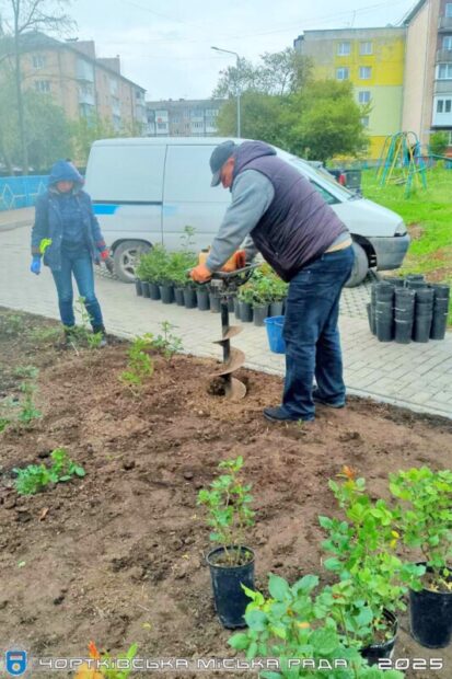 покрали квіти