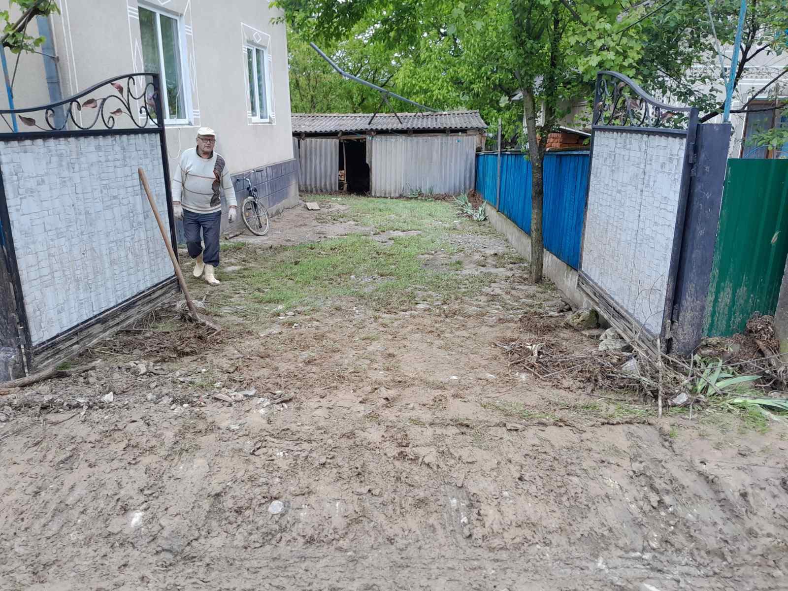 негода наробила лиха
