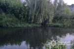 тіло людини