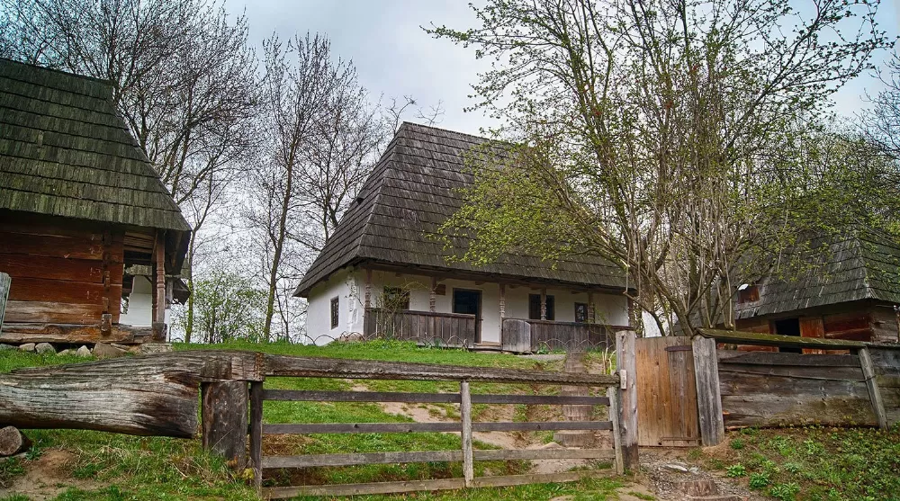 Шевченківський гай