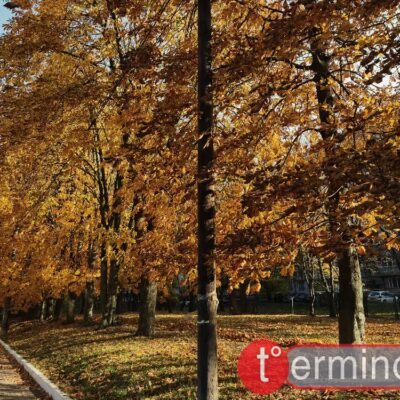 осінь Тернопіль
