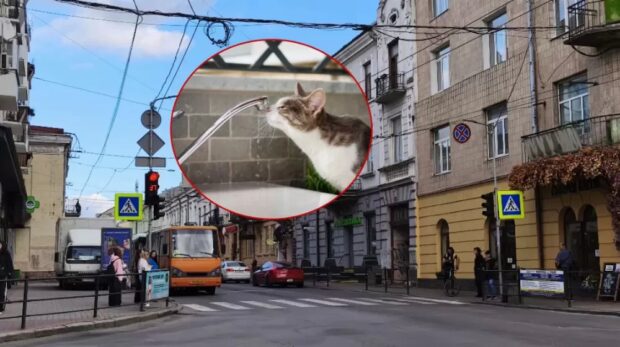 нема води тернопіль