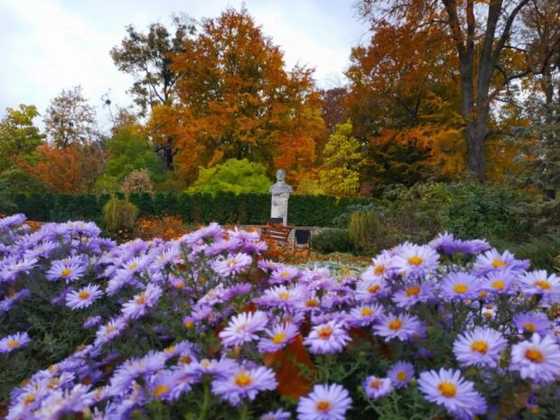 Кременецький ботанічний сад