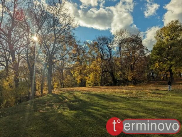 Вишнівецький палацово-парковий комплекс восени