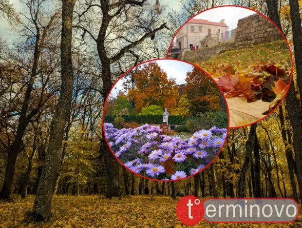 осінь на Тернопільщині