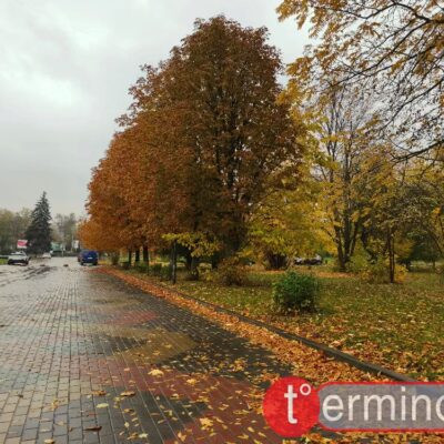 погода Тернопіль