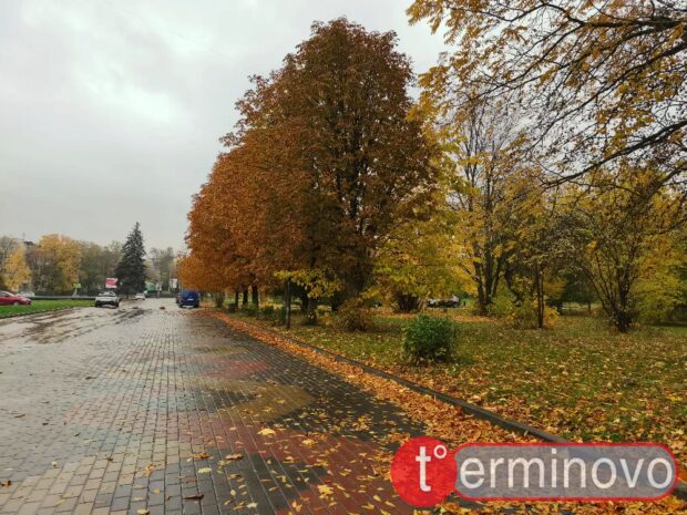 погода Тернопіль