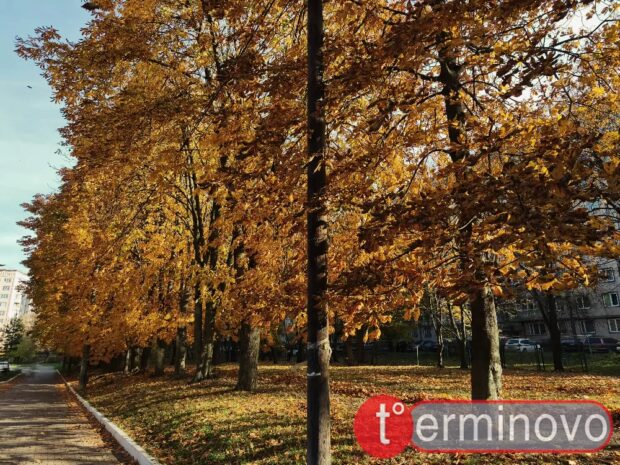 погода Тернопіль