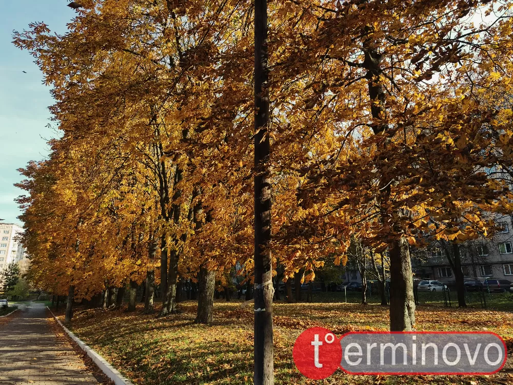 погода Тернопіль