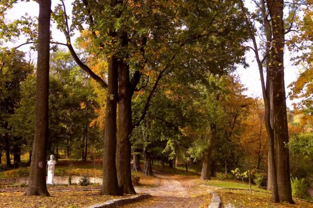 Кременецький ботанічний сад