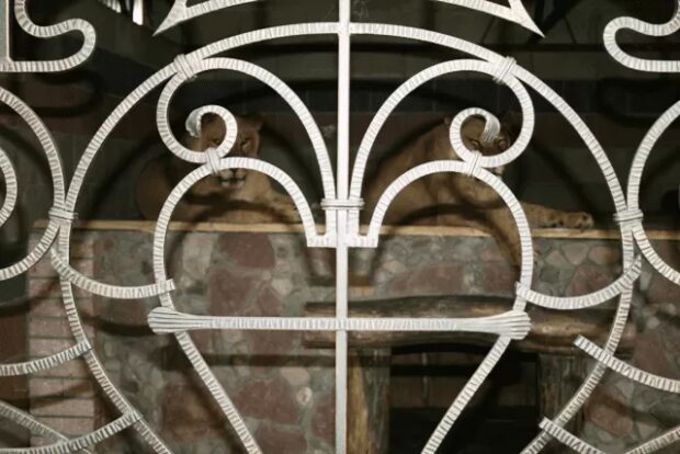 Приватний зоопарк "Крайня хата"