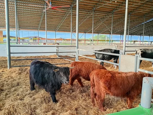 Агроленд етнопарк