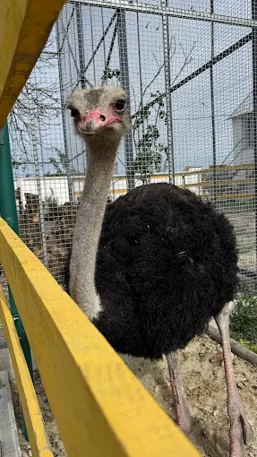 Агроленд етнопарк