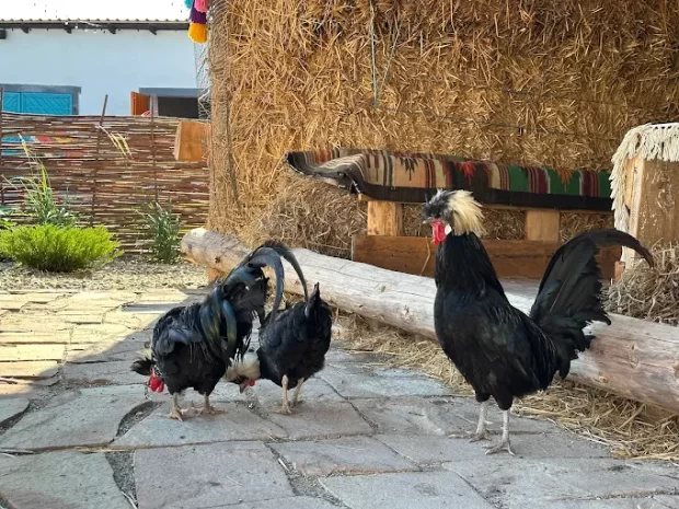 Агроленд етнопарк