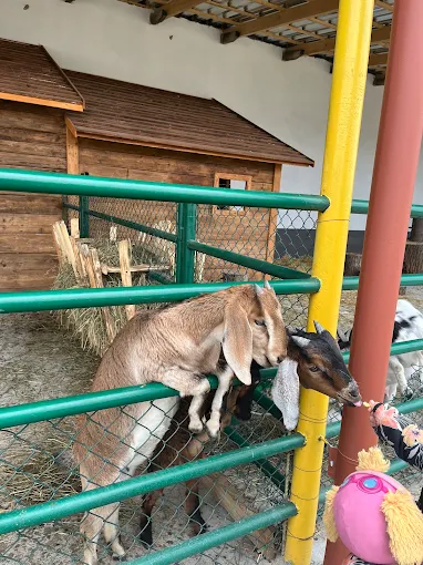 Агроленд етнопарк