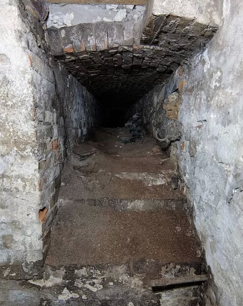 палац Биків