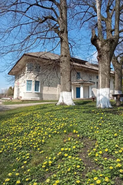 палац Биків