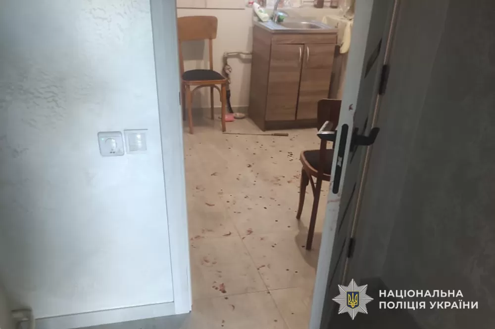 вбивство Кам'янки