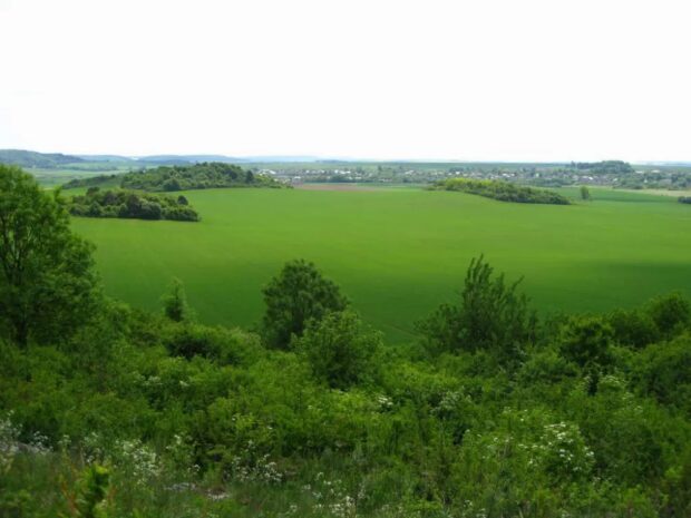 Заповідник "Медобори"