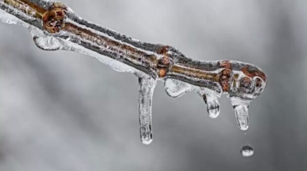 потепління