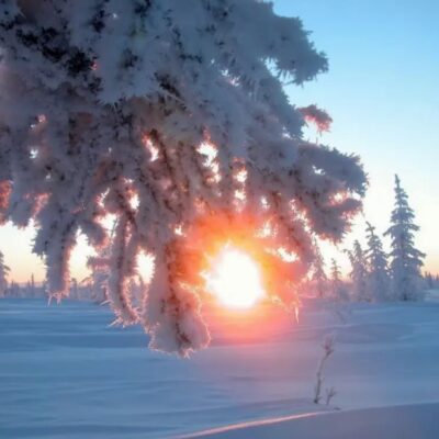 сонячний зимовий день