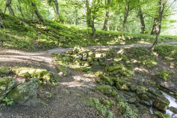 Дендропарк в Раю