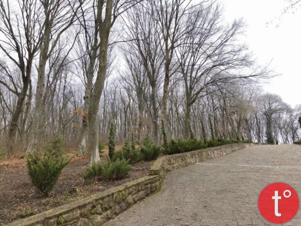 Марійський духовний центр «Зарваниця» (с. Зарваниця)