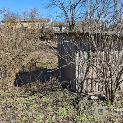 господарство