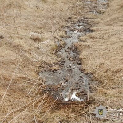 забруднення