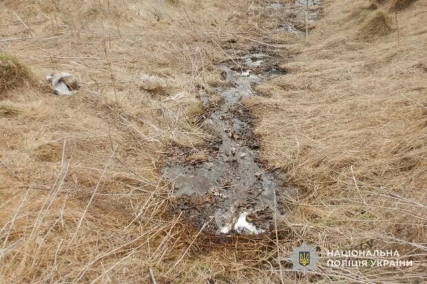 забруднення