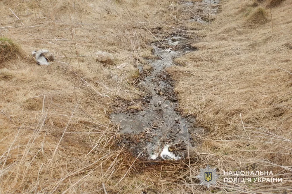 забруднення