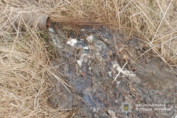 забруднення