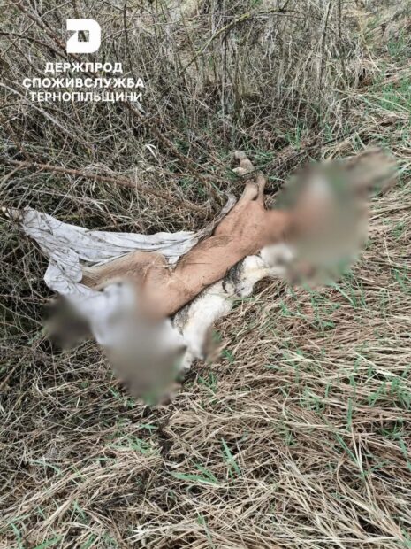 Головне управління Держпродспоживслужби в Тернопільській області