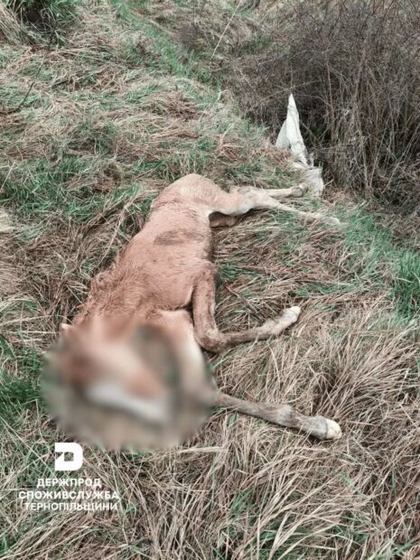 Головне управління Держпродспоживслужби в Тернопільській області