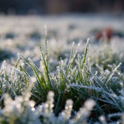 нічні заморозки