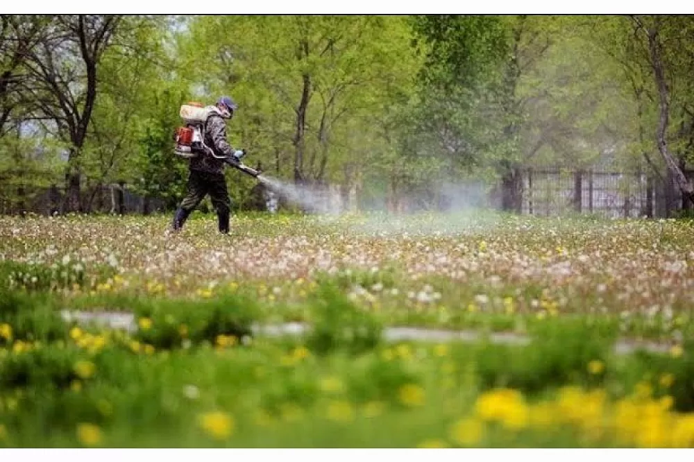 обробка парків від кліщів