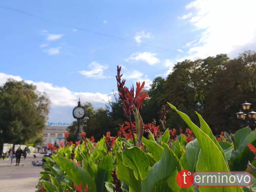 Тернопіль