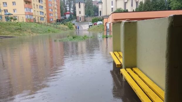 підтоп