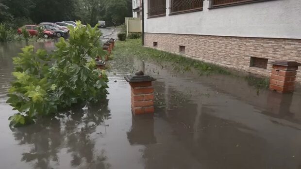 підтоп